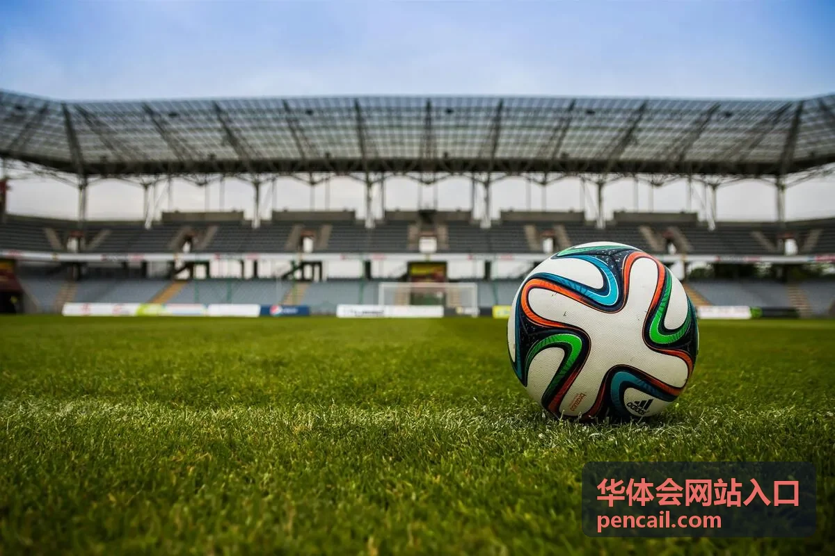 华体会网站入口客户端版本更新与旧版清理示意
