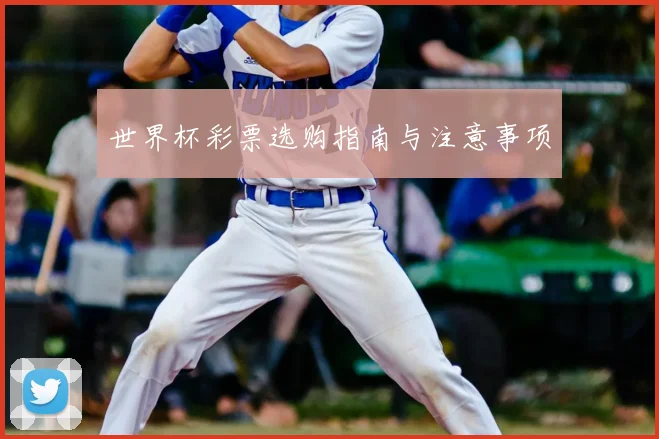 世界杯彩票选购指南与注意事项