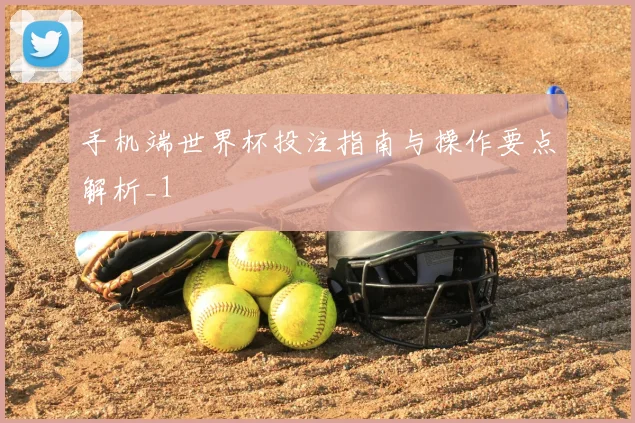 手机端世界杯投注指南与操作要点解析_1